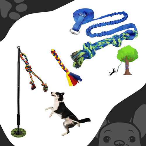 DogPhi™ Tug Toy