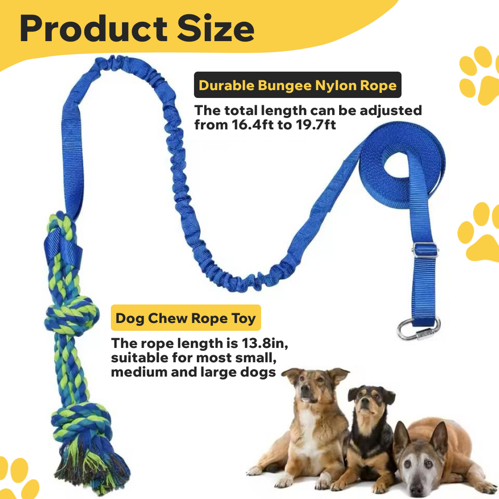 DogPhi™ Tug Toy