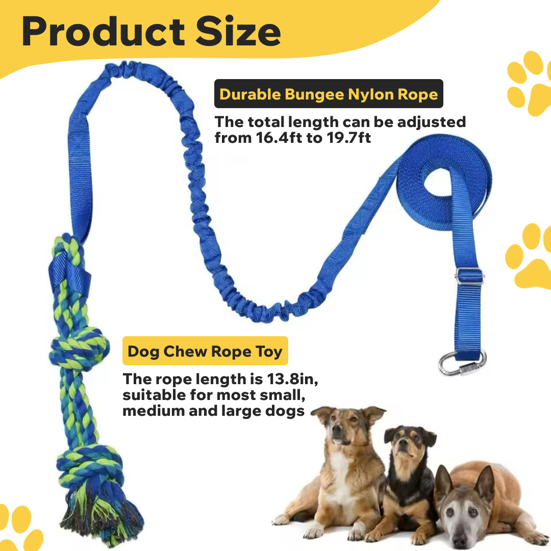 DogPhi™ Tug Toy