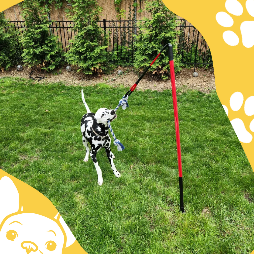 DogPhi™ Tug Toy